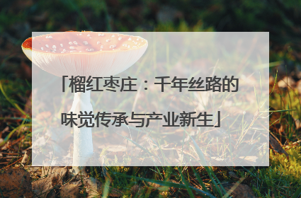 榴红枣庄：千年丝路的味觉传承与产业新生